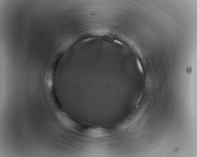 X0000101980069200808151410