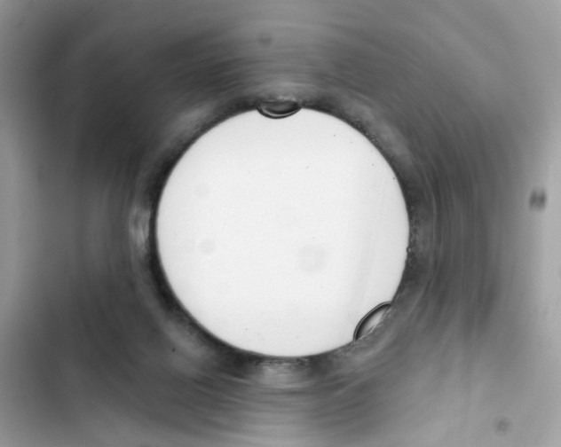 X0000101980070200808151410