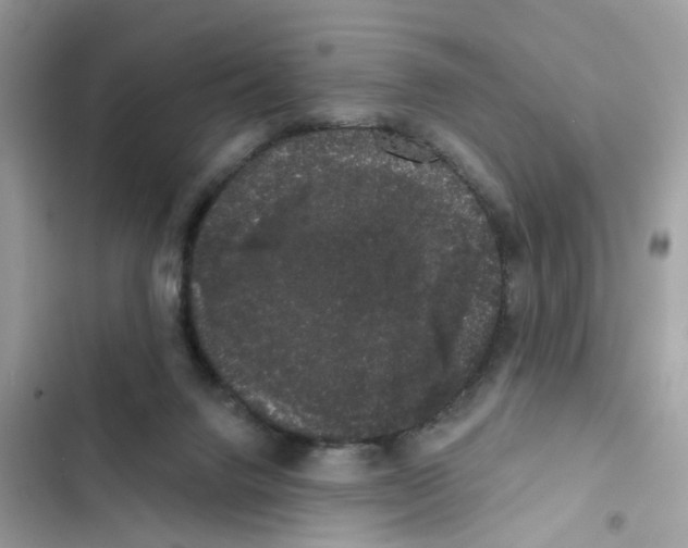 X0000101980072200808151411