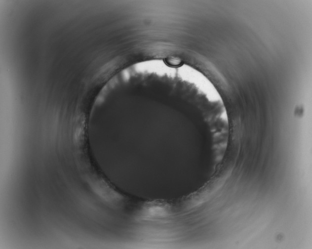 X0000101980073200808151411