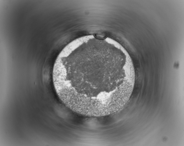 X0000101980074200808151411