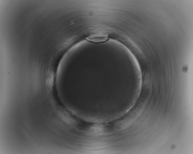 X0000101980076200808151411