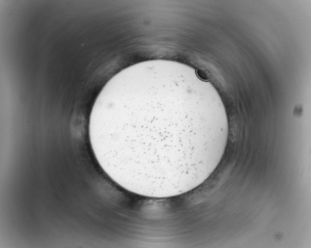 X0000101980077200808151411