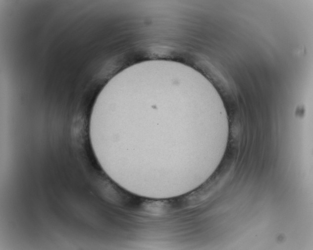 X0000101980079200808151411