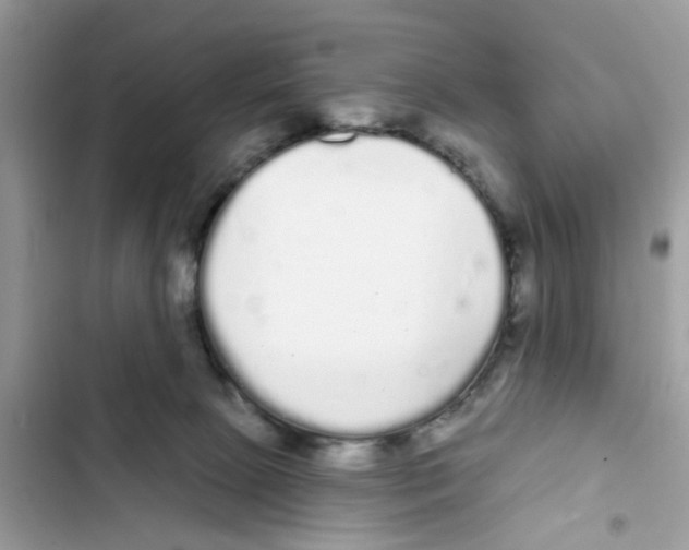 X0000101980081200808151411