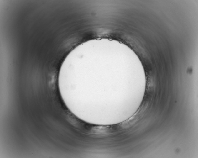 X0000101980082200808151411