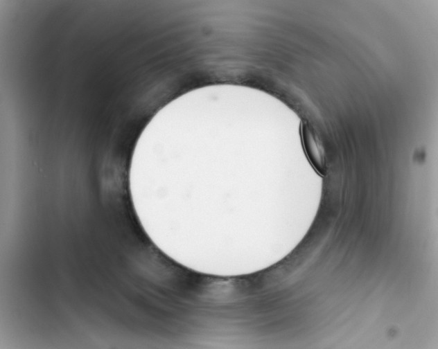 X0000101980083200808151411