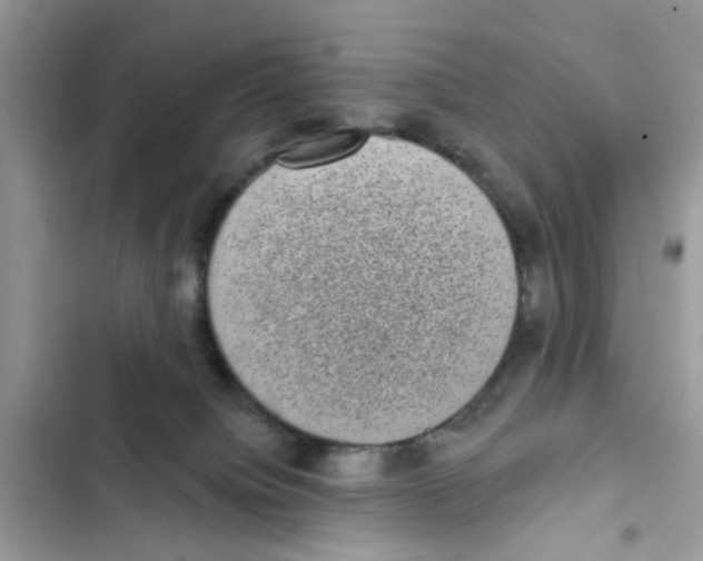 X0000101980084200808151411