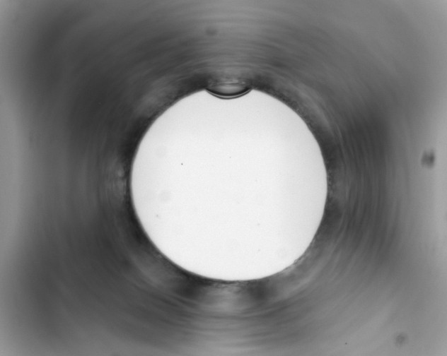 X0000101980086200808151411