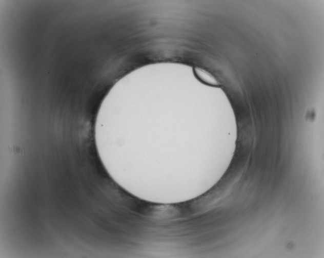 X0000101980087200808151411