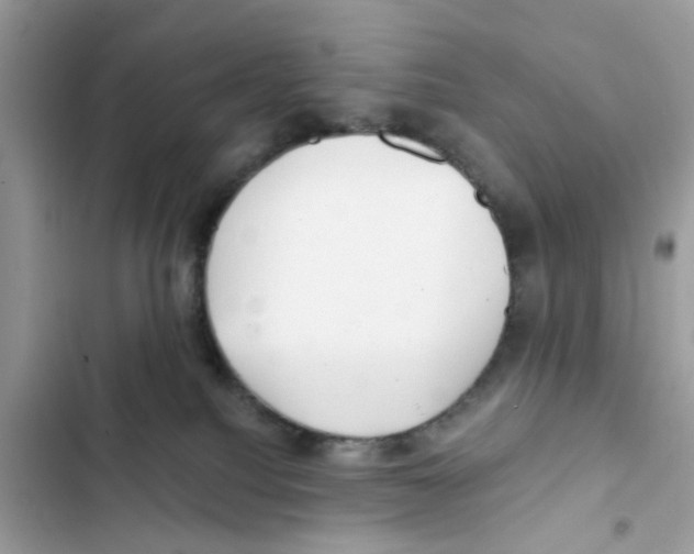 X0000101980088200808151411