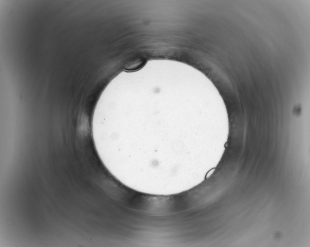 X0000101980089200808151411