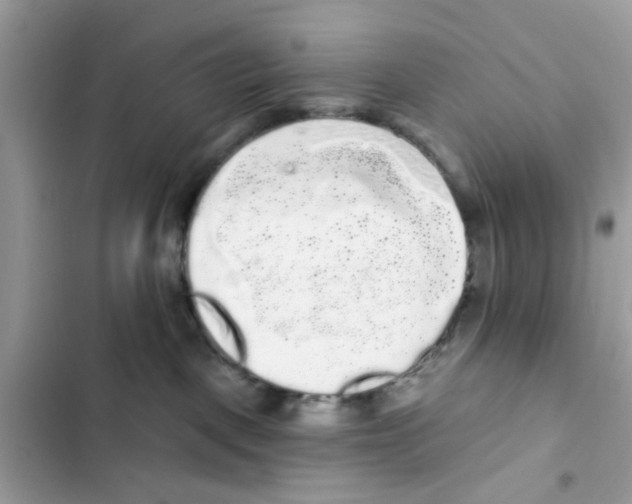 X0000101980093200808151411