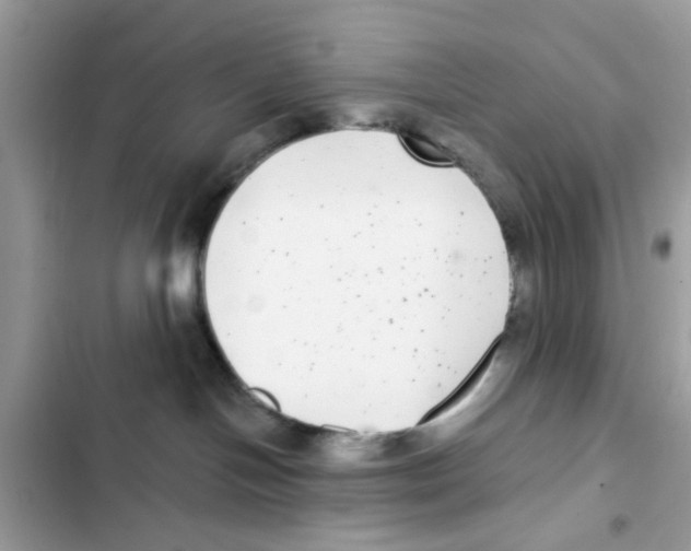 X0000101980094200808151411