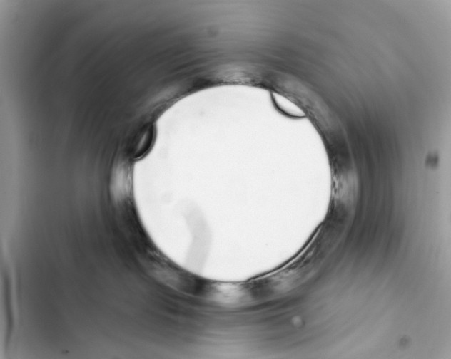 X0000101980095200808151411