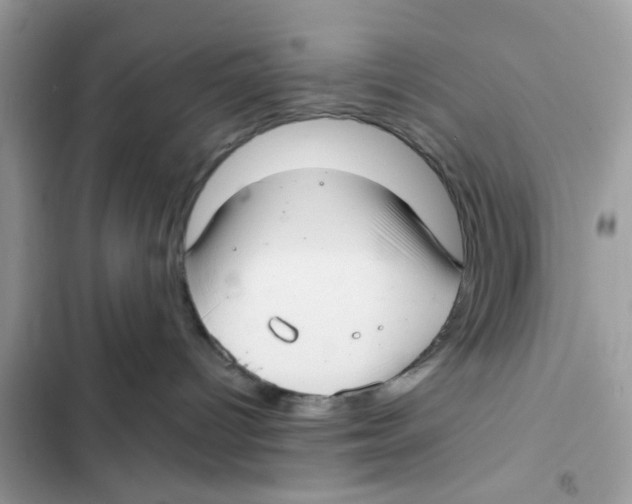 X0000101980096200808151411