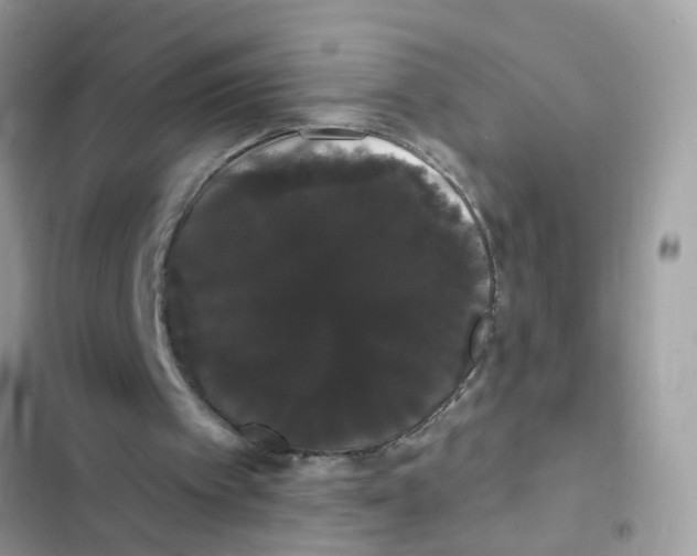 X0000101980097200808151410