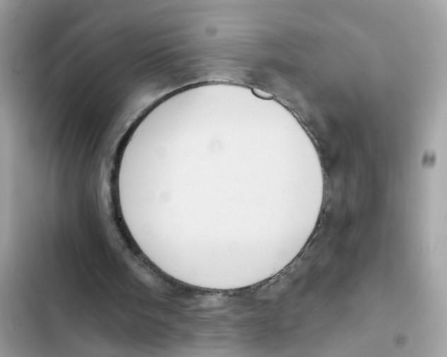 X0000101980098200808151410