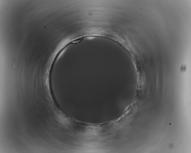 X0000101980099200808151410