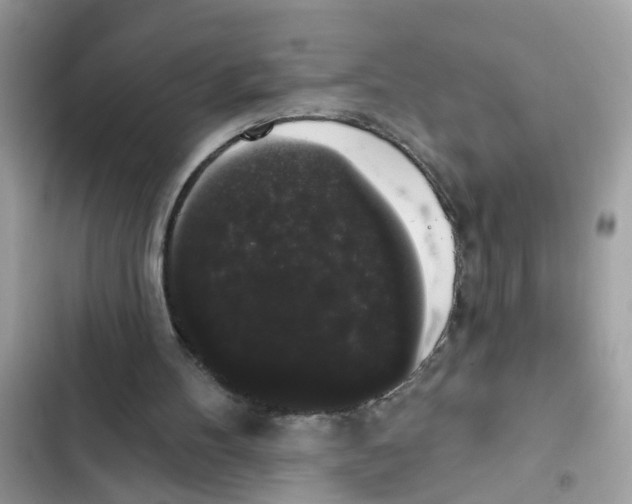 X0000101980100200808151410