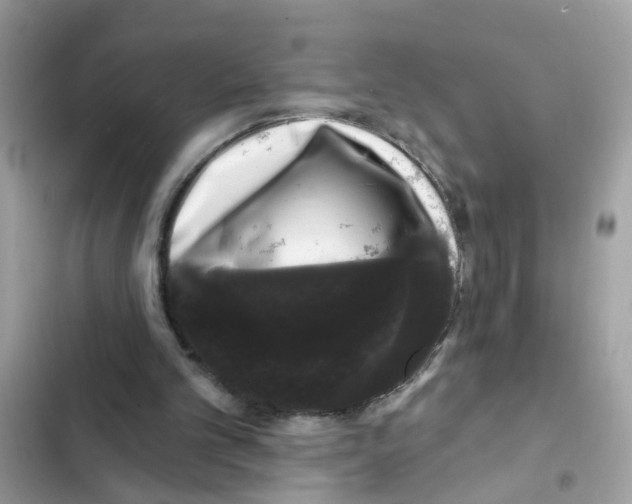 X0000101980101200808151410