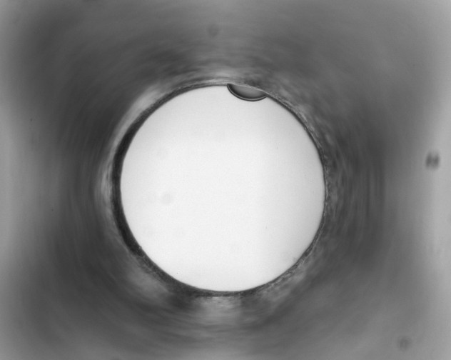 X0000101980102200808151410