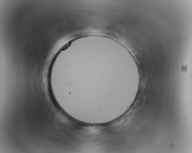 X0000101980103200808151410