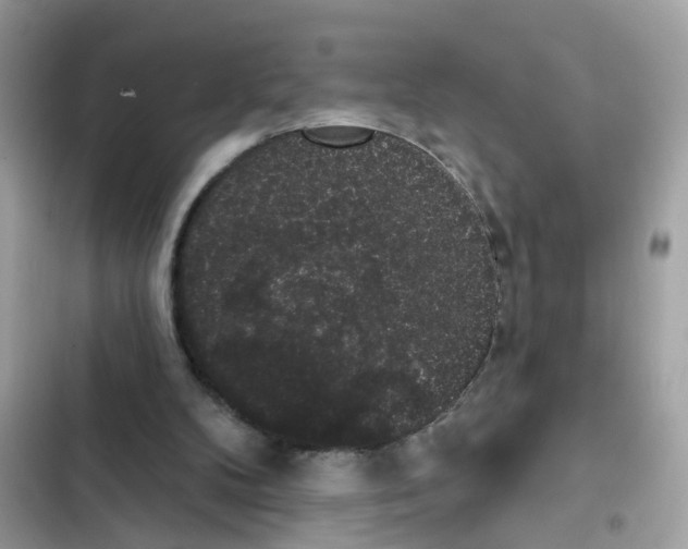 X0000101980104200808151410