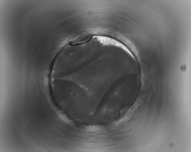 X0000101980105200808151410