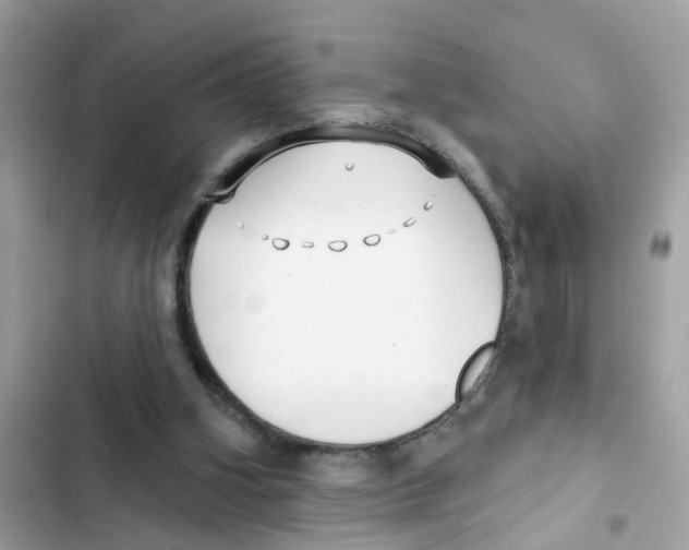 X0000101980106200808151410