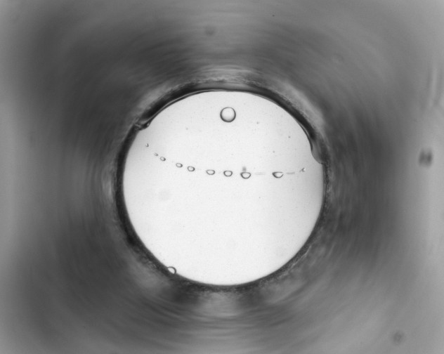 X0000101980107200808151410