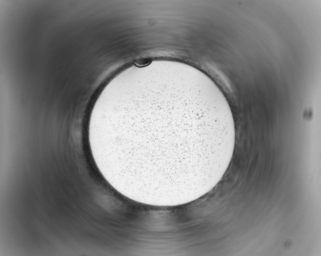 X0000101980108200808151410