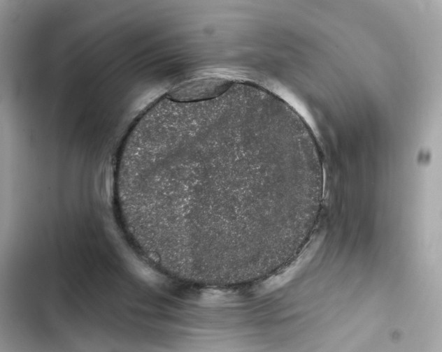 X0000101980109200808151410