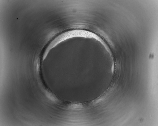 X0000101980110200808151410