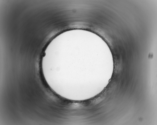 X0000101980111200808151410