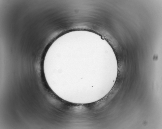 X0000101980112200808151410