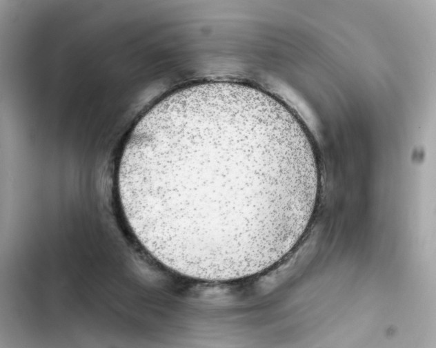 X0000101980113200808151410