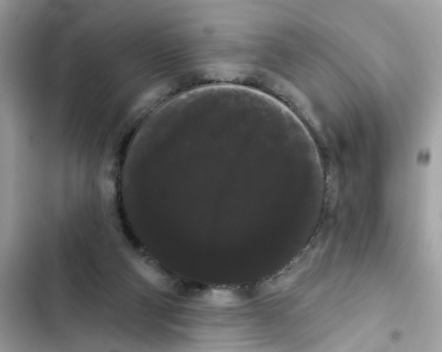 X0000101980114200808151410