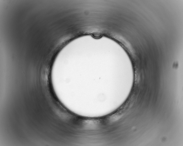 X0000101980115200808151410