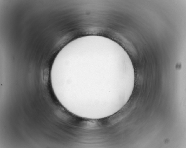 X0000101980118200808151410