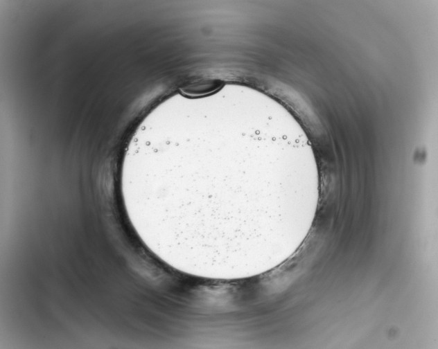 X0000101980120200808151410