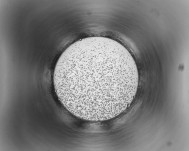 X0000101980121200808151410