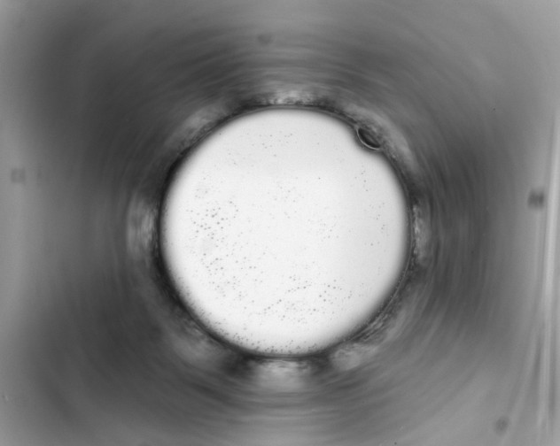 X0000101980123200808151410