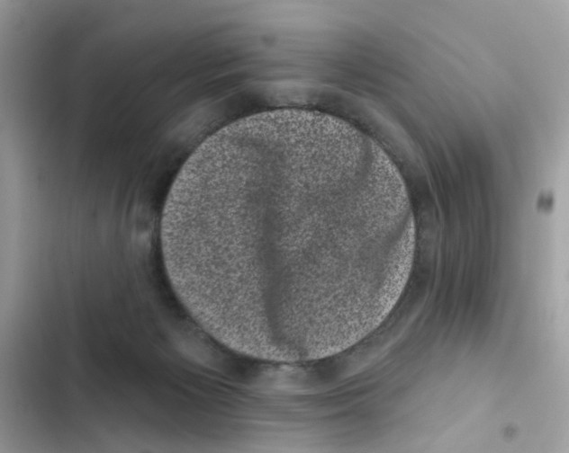 X0000101980125200808151410