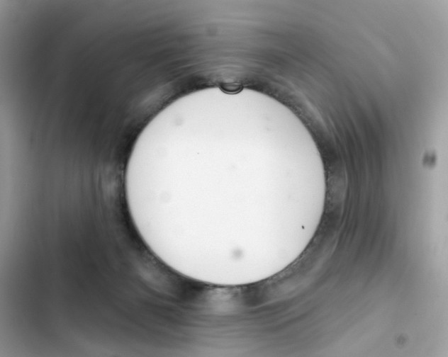 X0000101980126200808151410