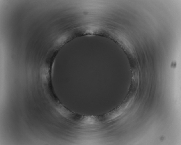 X0000101980127200808151410