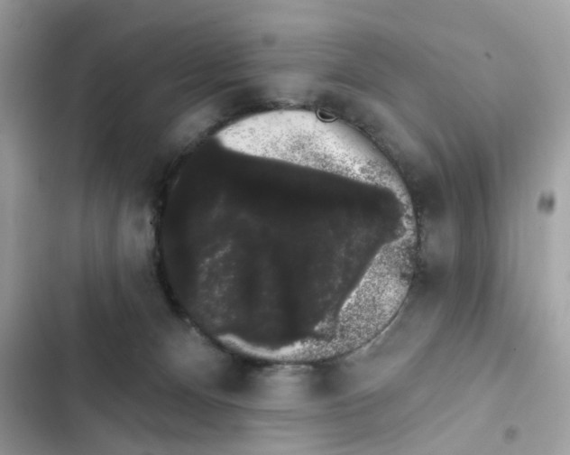 X0000101980128200808151410