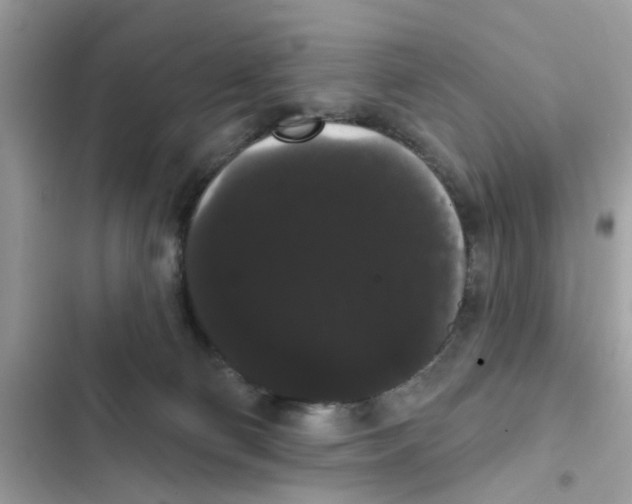 X0000101980130200808151410