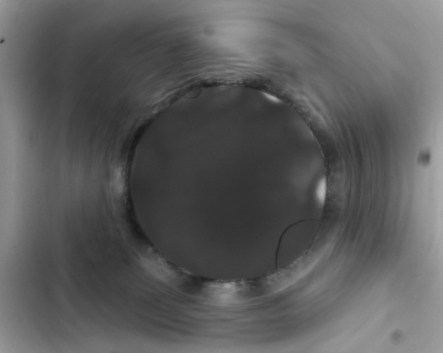 X0000101980131200808151410