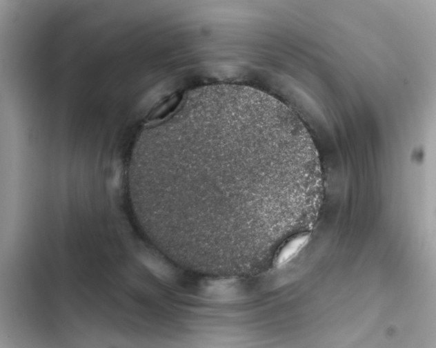 X0000101980132200808151410